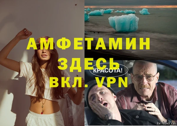 крисы Алзамай
