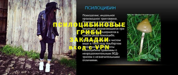 первитин Алексеевка