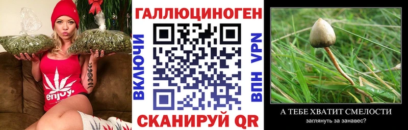 закладки  Изобильный  Псилоцибиновые грибы MAGIC MUSHROOMS 