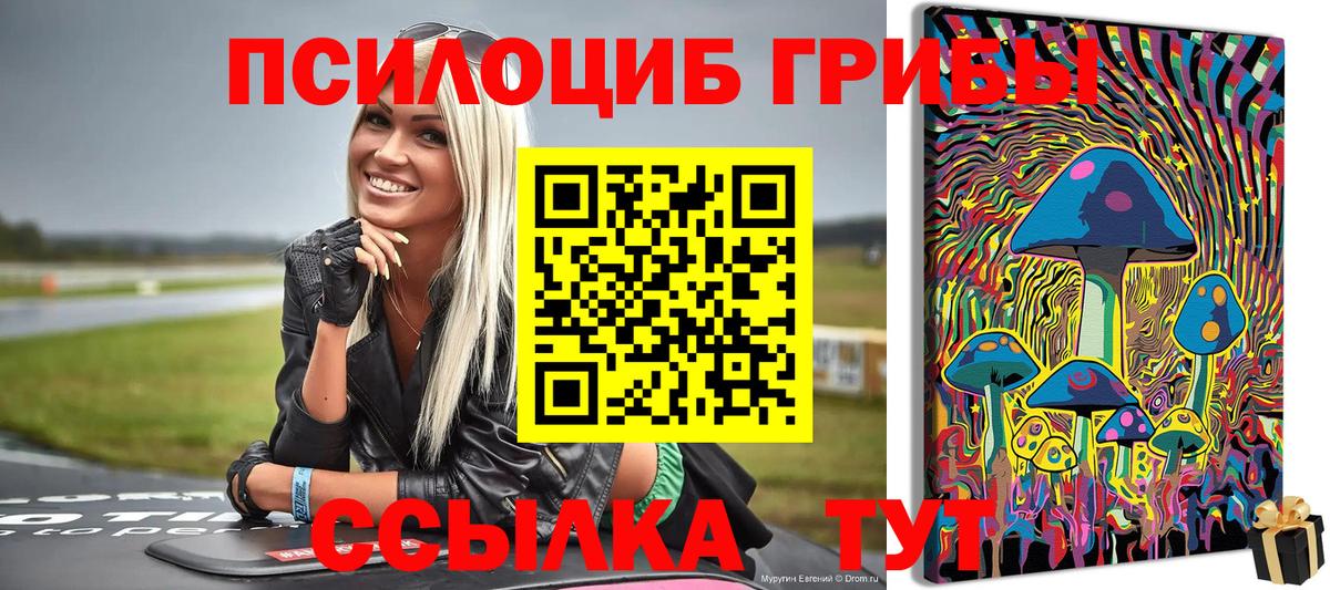 Псилоцибиновые грибы Psilocybe Изобильный