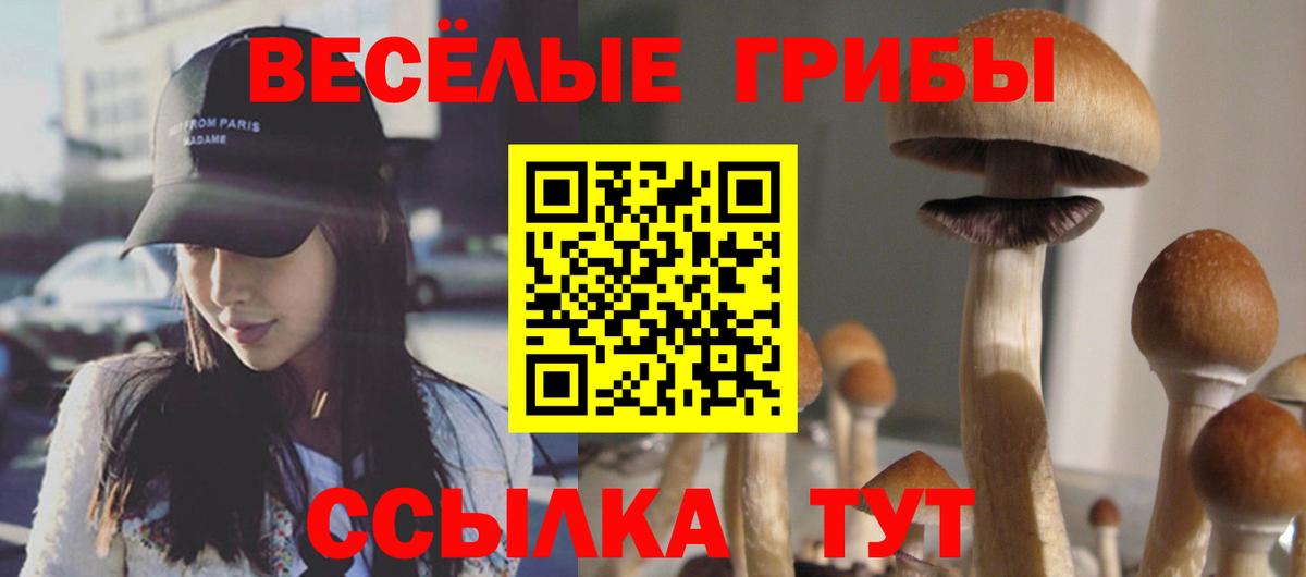 Изобильный  Псилоцибиновые грибы мицелий  Вход с VPN 